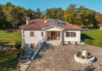 453138-Vorschaubild3