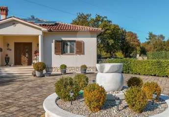 453138-Vorschaubild4