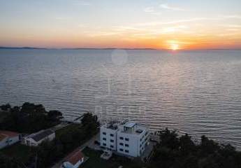 456437-Vorschaubild2