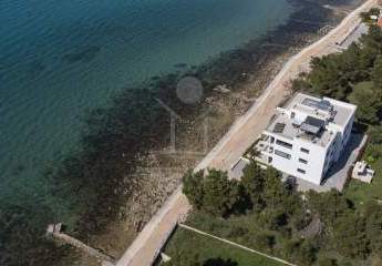 456437-Vorschaubild3