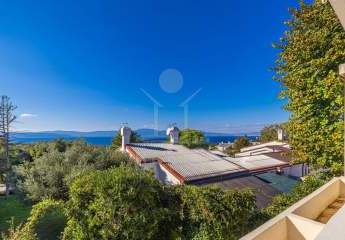 456766-Vorschaubild3