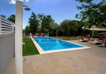 468386-Vorschaubild2