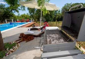 468386-Vorschaubild3