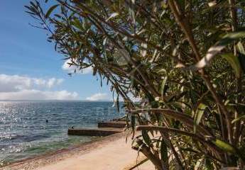 470171-Vorschaubild2