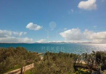 470171-Vorschaubild3