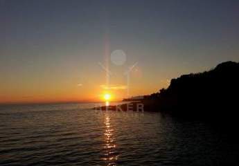 472304-Vorschaubild3