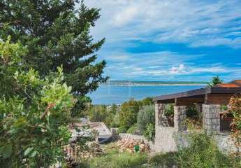 472443-Vorschaubild4