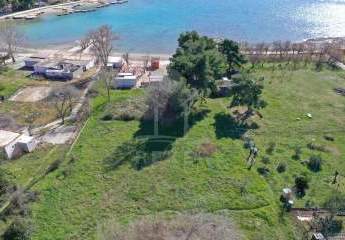 472450-Vorschaubild4