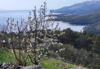 473454-Vorschaubild2