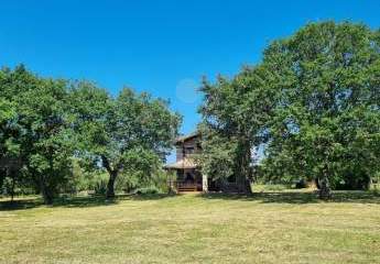 17.720 m² Magie: Olivenhain, Steinhaus, Potenzial & Projektchance