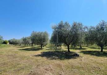 474088-Vorschaubild3