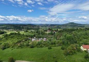 474736-Vorschaubild3