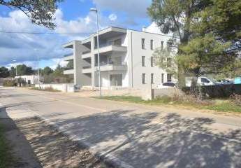 474737-Vorschaubild4