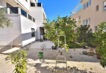 475541-Vorschaubild2