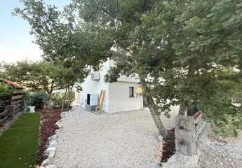 475730-Vorschaubild3