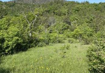 Freiheit – Ruhe – Perspektive: Grundstück mit über 60.000 m² für Ihre Vision