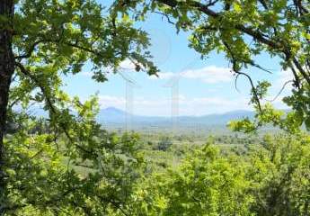 476214-Vorschaubild2