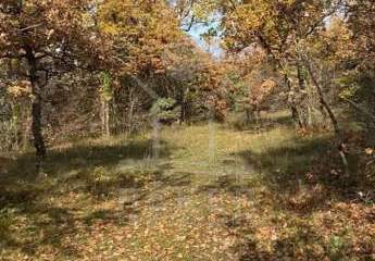 476214-Vorschaubild3