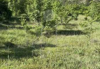 476214-Vorschaubild4