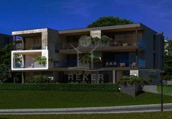 477619-Vorschaubild2