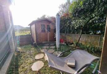 478515-Vorschaubild2