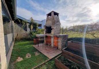 478515-Vorschaubild4