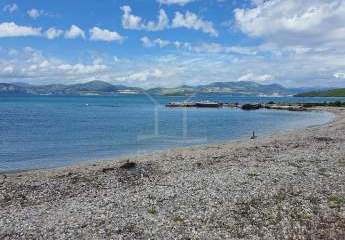 479542-Vorschaubild3