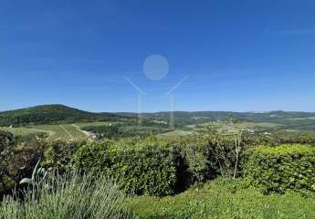 479552-Vorschaubild2