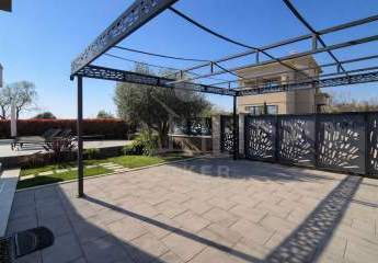 479595-Vorschaubild3