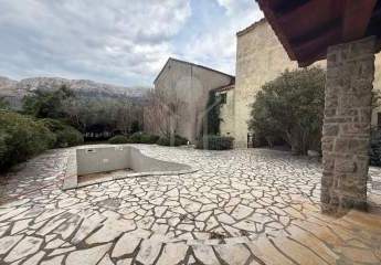 481514-Vorschaubild3