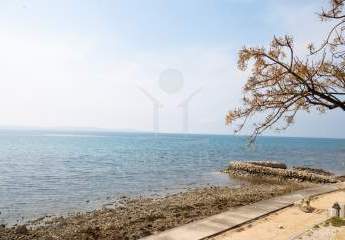 481528-Vorschaubild2