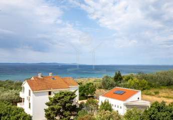 481530-Vorschaubild4