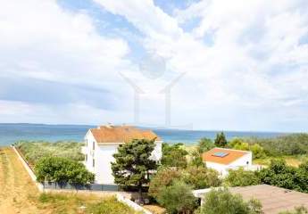 481534-Vorschaubild3