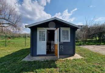 482133-Vorschaubild4