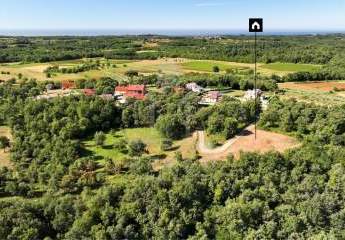 483291-Vorschaubild2