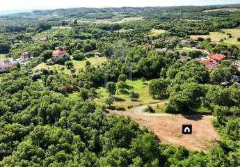 483291-Vorschaubild3