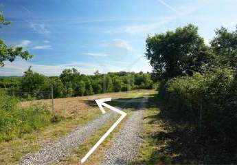 483291-Vorschaubild4