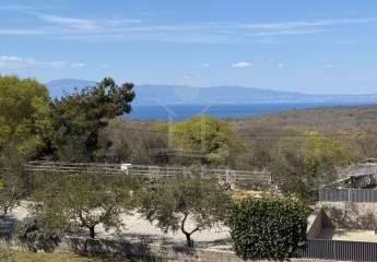 Zwei Wohnungen und Studio: Haus auf Krk mit Pool, Meerblick und ganzjährigem Wohnkomfort