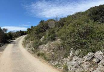 483305-Vorschaubild4