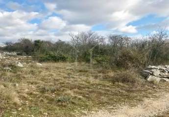 Landwirtschaftliches Grundstück auf Krk mit 12.500 m² in ruhiger Alleinlage