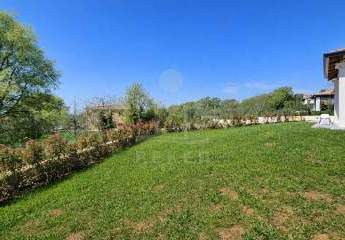 483412-Vorschaubild3