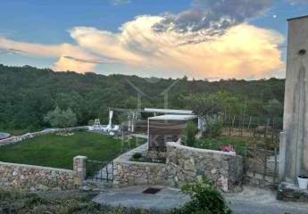 483992-Vorschaubild2