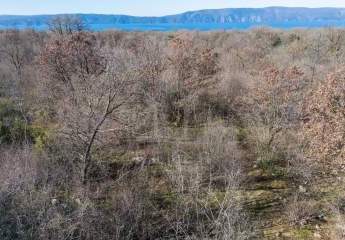 484129-Vorschaubild2