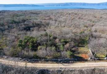 484129-Vorschaubild3