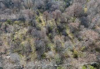 484129-Vorschaubild4