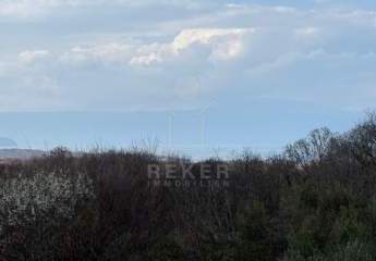 484593-Vorschaubild3