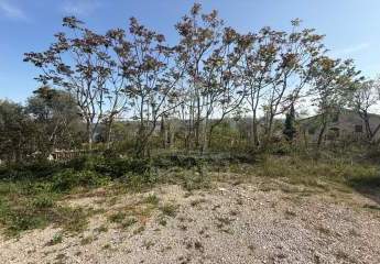 484967-Vorschaubild3