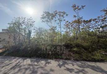 484967-Vorschaubild4