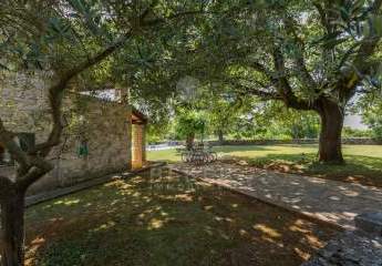 485346-Vorschaubild2