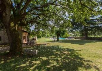 485346-Vorschaubild3